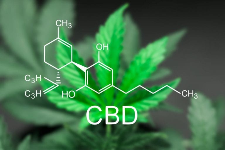 cbd_store_oxford_ms