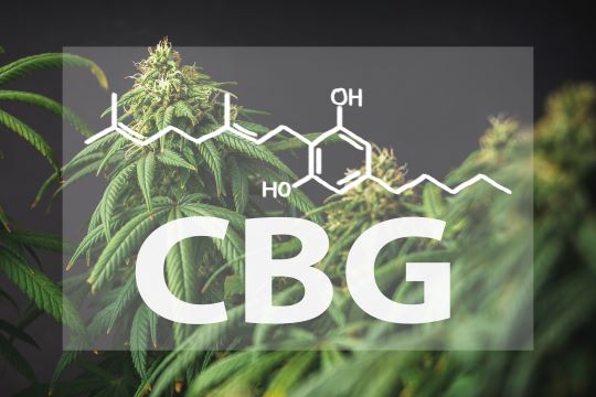 cbd_store_near_me