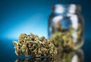 sativa cbd flower