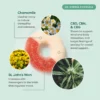 CBD + CBG Stress Gummies - Image 2