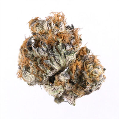 007 - 39.21% - Indica